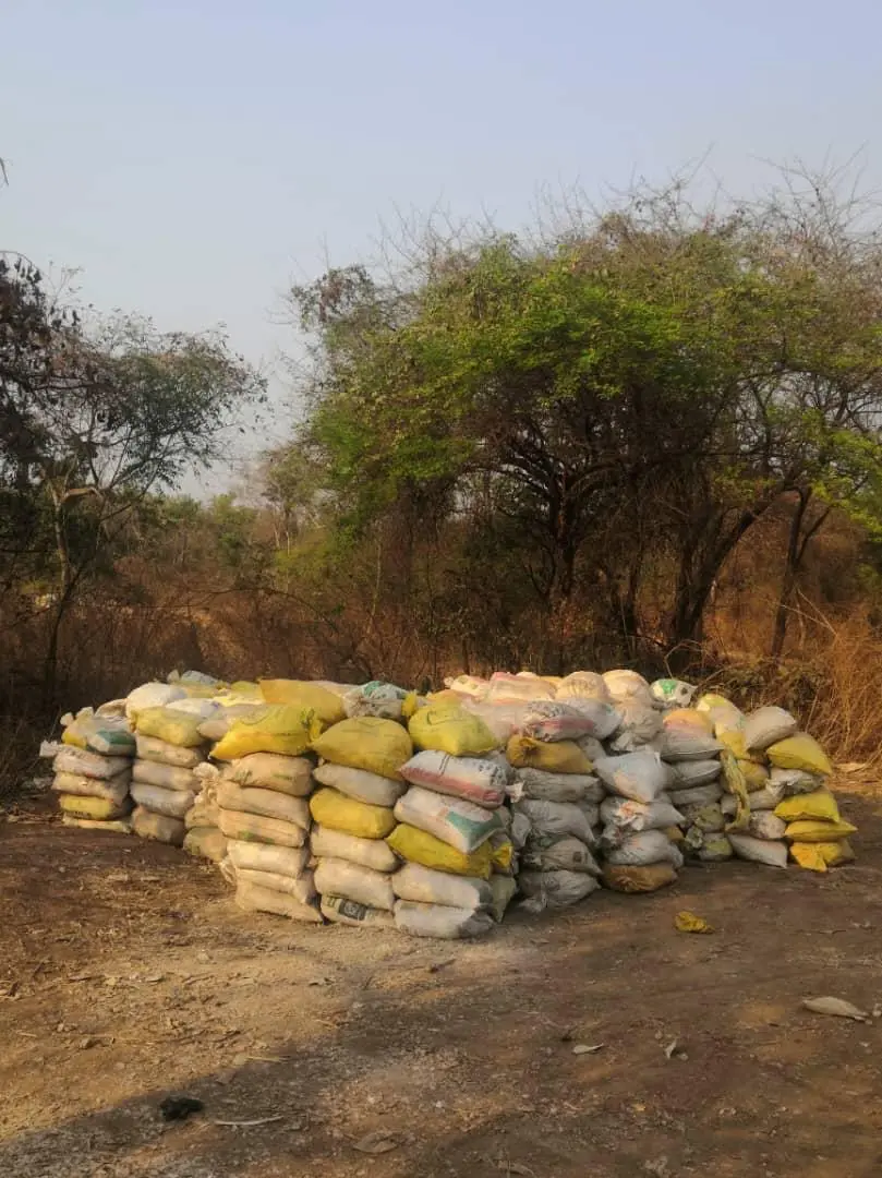 Cashew Nuts — Quality Inspection
