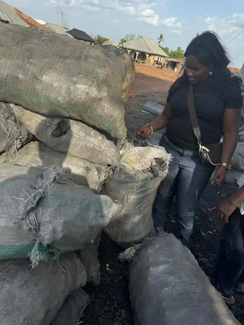 Cocoa Beans — Export Ready
