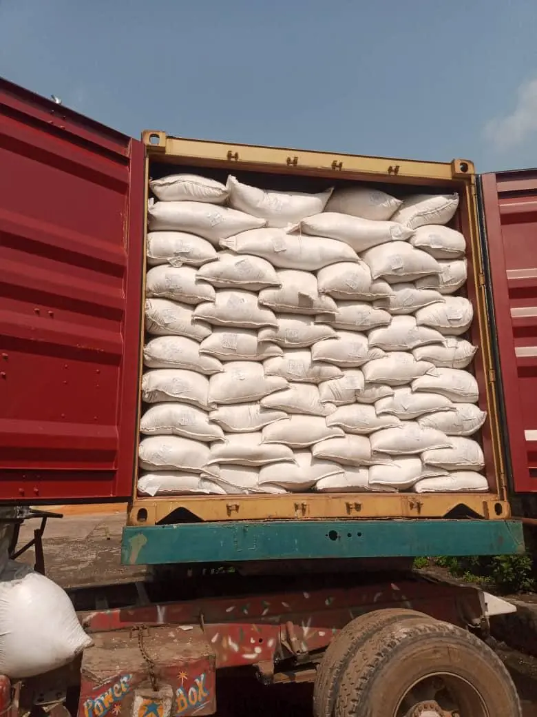Container Collection, Apapa Port