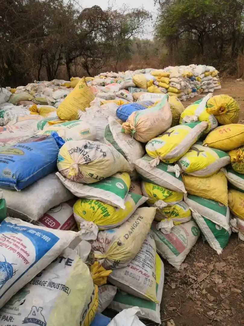 Sesame Seeds — Bagging for Export
