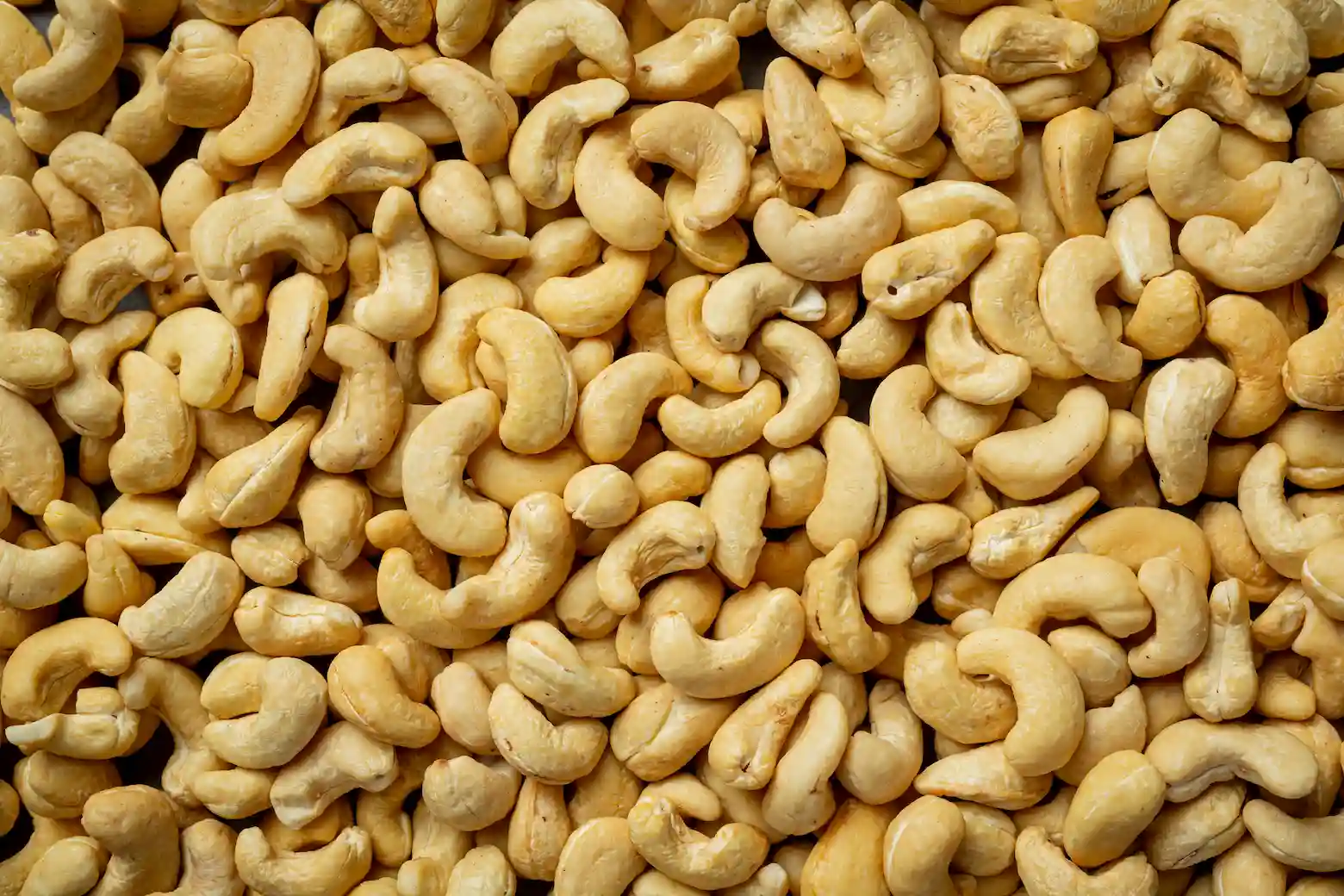 Nigerian raw cashew nuts for export