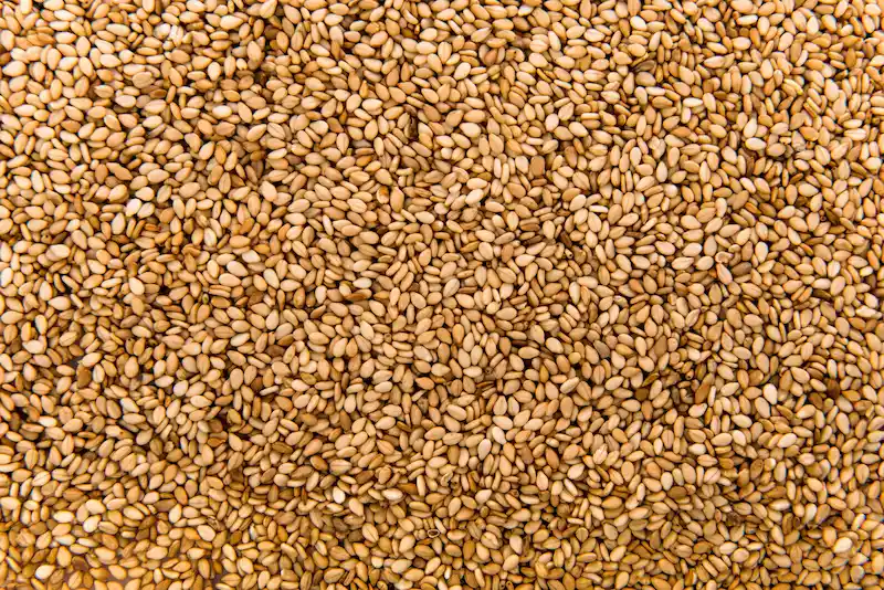 Nigerian sesame seeds for export